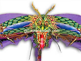 Giant Dragon Kite Closeup 