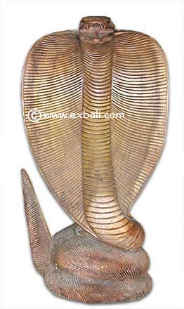 Coiled Cobra