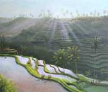 Morning sun landscape