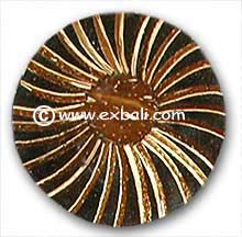 Bali Coasters for the table